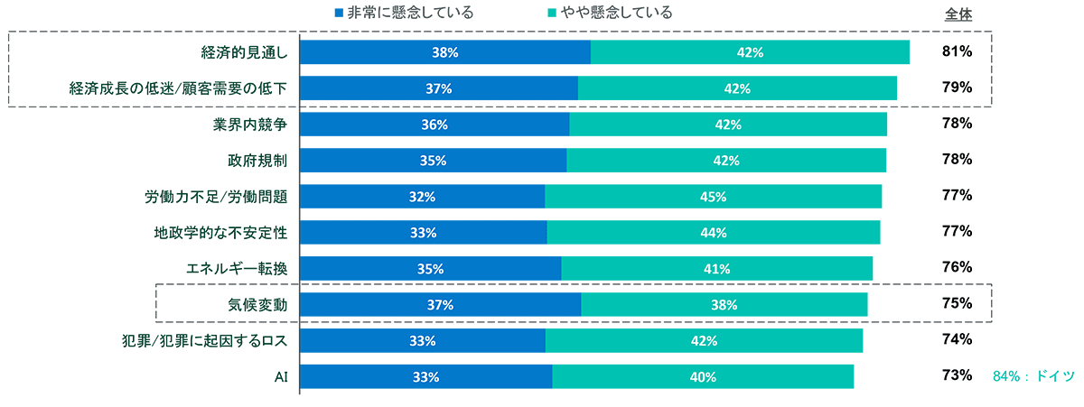 潜在的なビジネス課題に対する懸念（グラフ｜12）